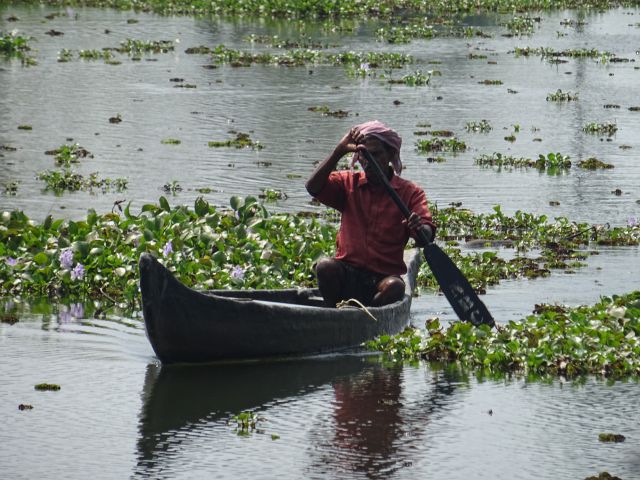 Kottayam